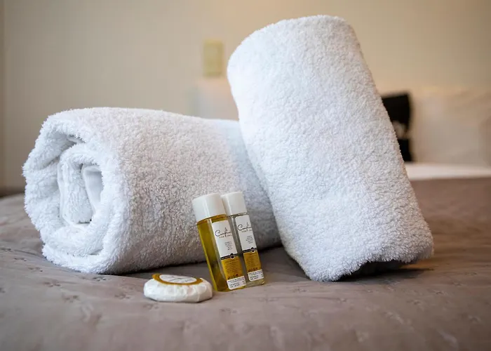 & Free Underground Garage 公寓 索菲亞